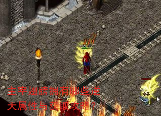 主宰翅膀拥有哪些逆天属性与获取攻略? 主宰翅膀拥有哪些逆天属性与获取攻略?