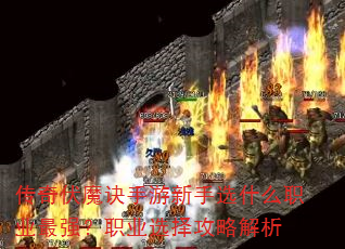 �����ħ����������ѡʲôְҵ��ǿ��ְҵѡ���Խ���