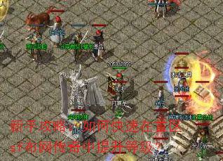 新手攻略:如何快速在首区sf布网传奇中提升等级? 新手攻略:如何快速在首区sf布网传奇中提升等级?