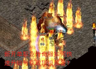�¿���ְҵ�������ο����������ȡ����װ����