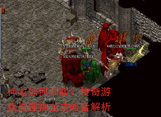 神龙如何驯服?传奇游戏最强神龙攻略全解析 神龙如何驯服?传奇游戏最强神龙攻略全解析