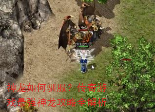 神龙如何驯服?传奇游戏最强神龙攻略全解析 神龙如何驯服?传奇游戏最强神龙攻略全解析