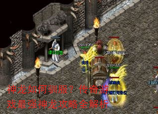 神龙如何驯服?传奇游戏最强神龙攻略全解析 神龙如何驯服?传奇游戏最强神龙攻略全解析