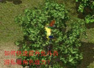 如何快速提升乱斗西游私服角色战力? 如何快速提升乱斗西游私服角色战力?