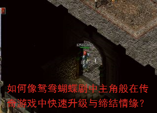 如何像鸳鸯蝴蝶剧中主角般在传奇游戏中快速升级与缔结情缘? 如何像鸳鸯蝴蝶剧中主角般在传奇游戏中快速升级与缔结情缘?